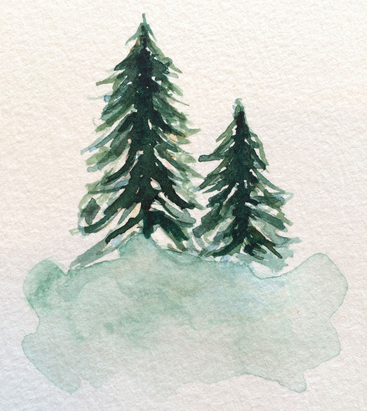 watercolor-pine-tree-2