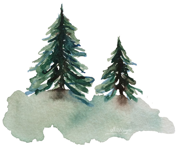 watercolor-pine-trees-4